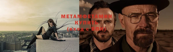 индика Богданович